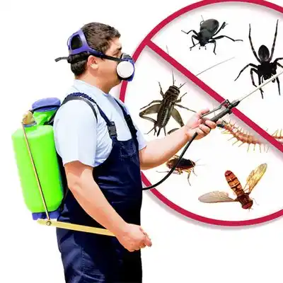 pest control Innsbrook